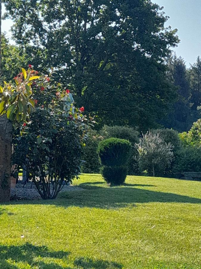 La Sellerie Bed and Breakfast Romagne  Eksteriør billede
